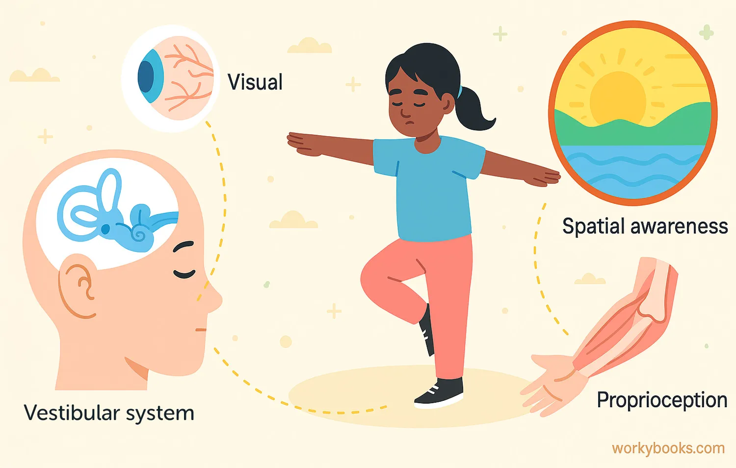 Girl balancing on one foot with labeled visuals of vestibular, visual, and proprioception systems.
